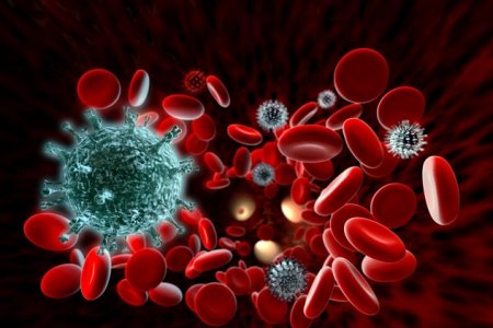 Какой на самом деле срок сохранения антител в крови у перенесших COVID-19